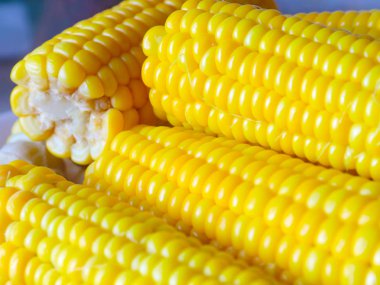 davranır için olgun taze haşlanmış mısır