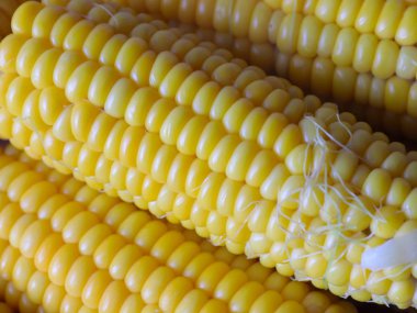davranır için olgun taze haşlanmış mısır