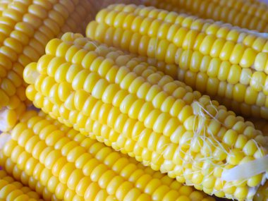 davranır için olgun taze haşlanmış mısır