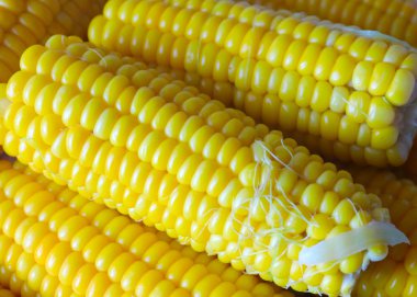 davranır için olgun taze haşlanmış mısır