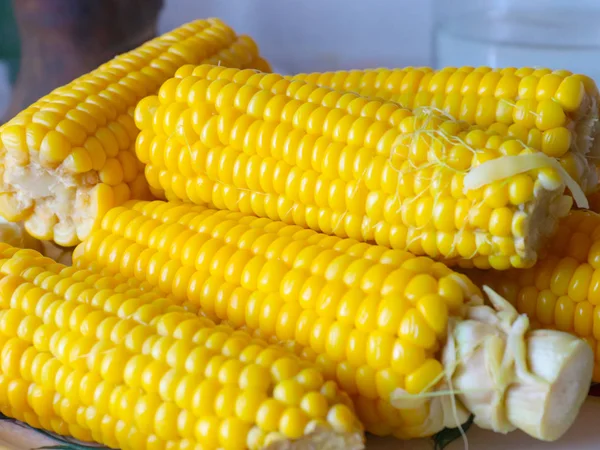 Reifer Frisch Gekochter Mais Als Leckerbissen — Stockfoto