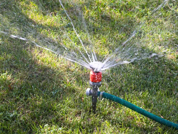 Rociar Flujo Agua Regar Césped Del Parque — Foto de Stock