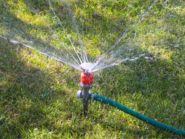 spraying water flow when watering park lawn