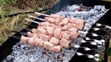 brazier açık ateş üzerinde şişler üzerinde et pişirme parçaları