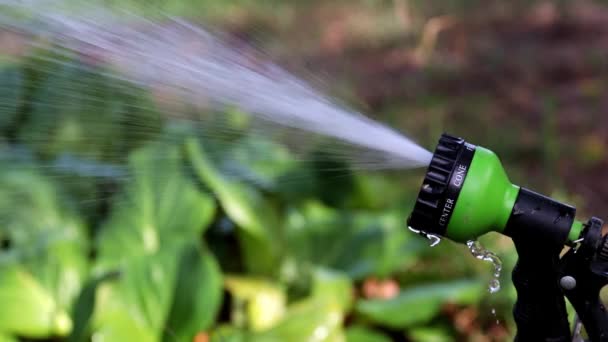 Flusso Acqua Una Bottiglia Spray Tubo Gomma — Video Stock