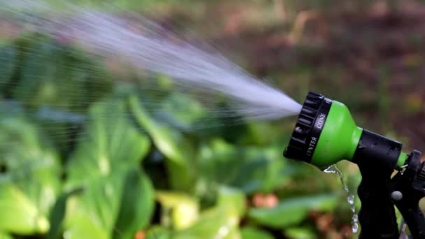 Flujo Agua Una Botella Pulverización Una Manguera Goma — Vídeo de stock