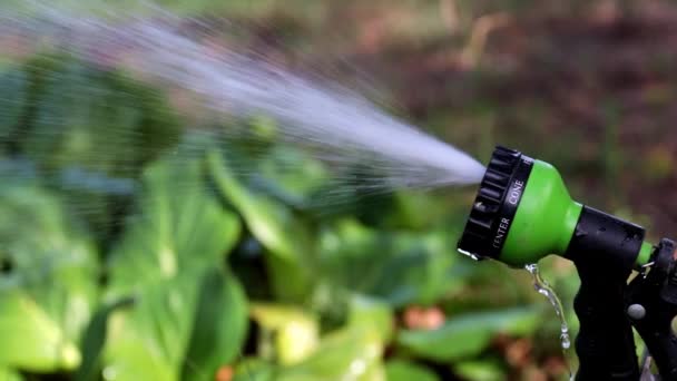 Wasserfluss Aus Einer Sprühflasche Auf Einem Gummischlauch — Stockvideo