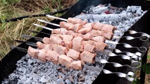 Gotowanie Kawałków Mięsa Szpikulce Otwartym Ogniu — Wideo stockowe