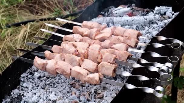 Brazier Açık Ateş Üzerinde Şişler Üzerinde Pişirme Parçaları — Stok video