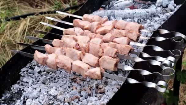 Gotowanie Kawałków Mięsa Szpikulce Otwartym Ogniu — Wideo stockowe