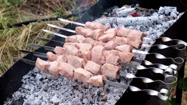 Brazier Açık Ateş Üzerinde Şişler Üzerinde Pişirme Parçaları — Stok video