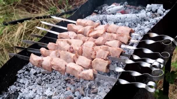 Cocinar Trozos Carne Pinchos Brasero Abrir Fuego — Vídeo de stock