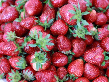 bir yaz hasat olarak olgun çilek bir demet