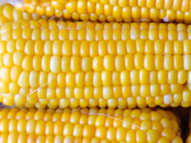 Gıda unsuru olarak olgun Mısır büyük taneleri