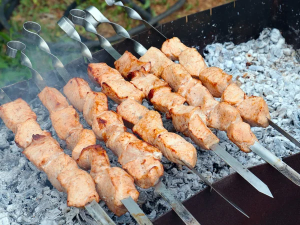 Főzés Darab Hús Nyárson Grill — Stock Fotó