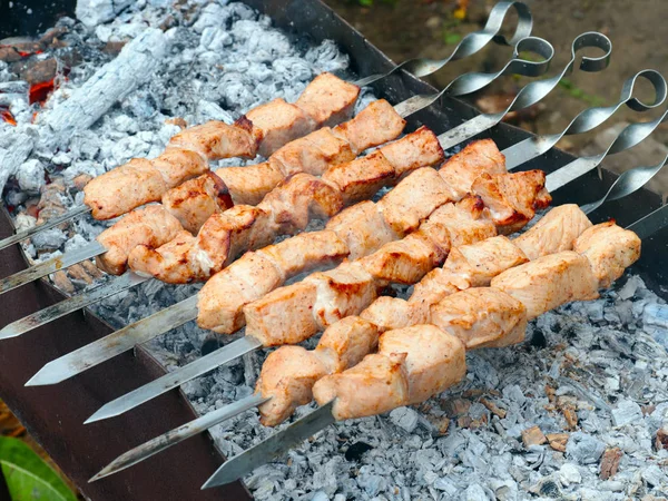 Cocinar Trozos Carne Pinchos Parrilla —  Fotos de Stock