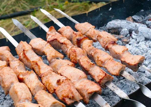 Főzés Darab Hús Nyárson Grill — Stock Fotó