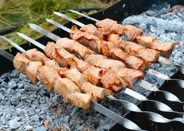 Cozinhar Pedaços Carne Espetos Grelha — Fotografia de Stock