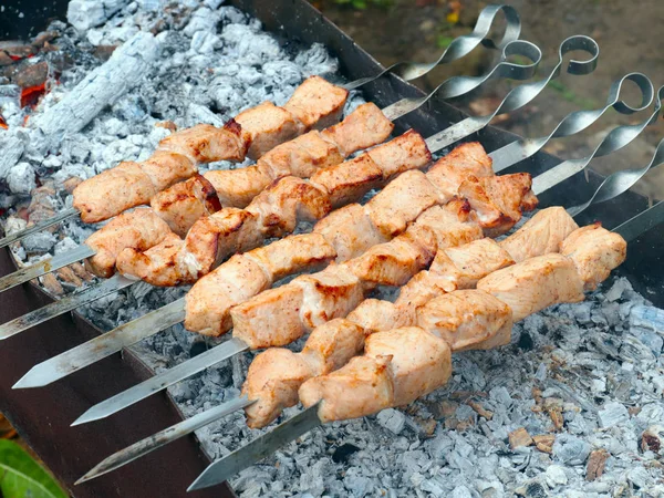 Cocinar Trozos Carne Pinchos Parrilla —  Fotos de Stock