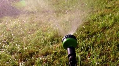 Çim Sulama için kauçuk hortum üzerinde sprey nozul