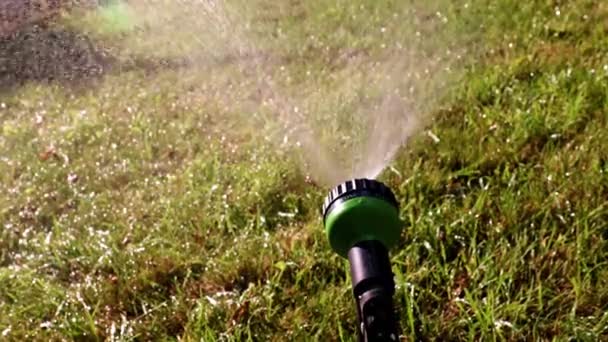 芝生に水をまくゴムホースにノズルをスプレーする — ストック動画