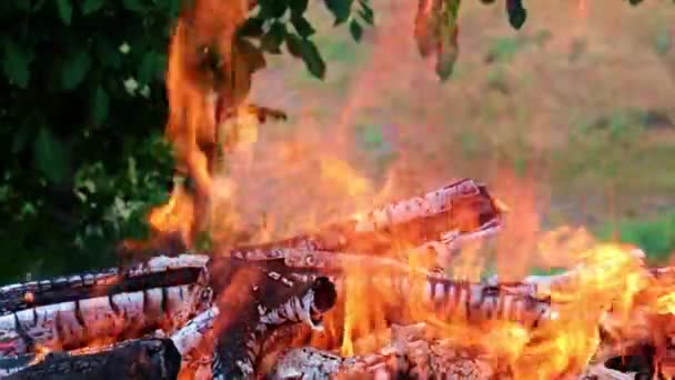 Flammes Vives Feu Ouvert Dans Gril — Video