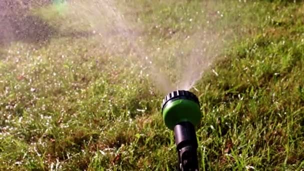 橡胶软管上的喷嘴 用于浇灌草坪 — 图库视频影像