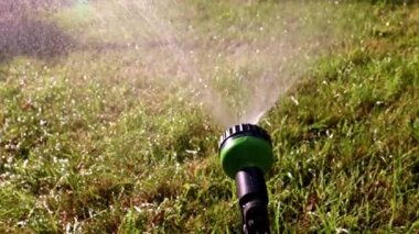 Çim Sulama için kauçuk hortum üzerinde sprey nozul