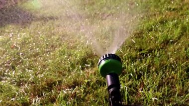 Çim Sulama için kauçuk hortum üzerinde sprey nozul