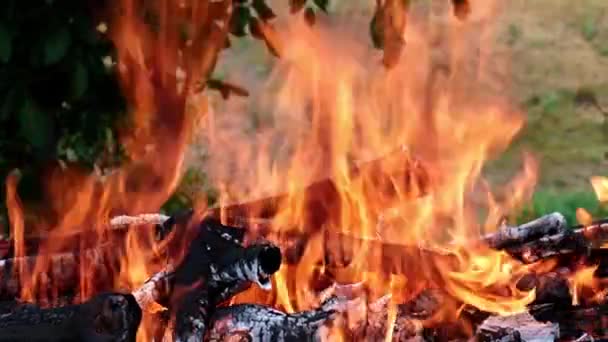 Jasne Płomieni Otwartego Ognia Grillu — Wideo stockowe
