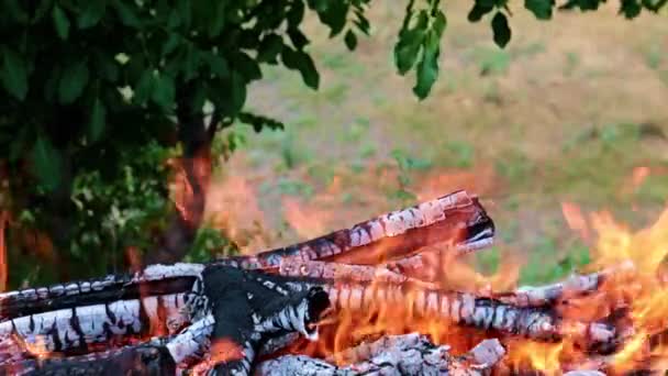 Яркое Пламя Открытого Огня Гриле — стоковое видео