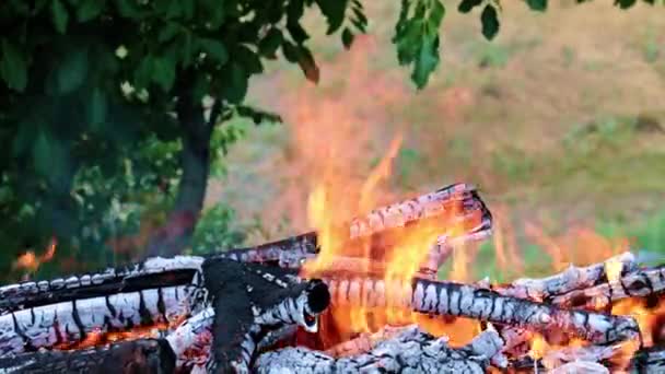 Fényes Lángjai Nyílt Tüzet Grill — Stock videók