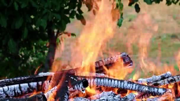 Bright Flames Open Fire Grill — Stock Video