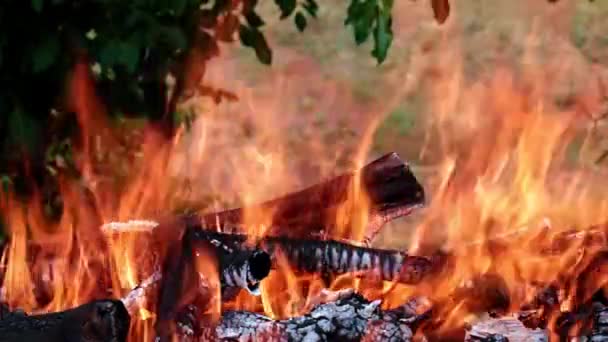 Jasne Płomieni Otwartego Ognia Grillu — Wideo stockowe