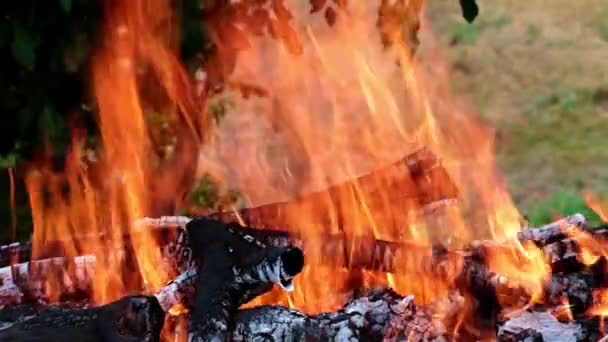 flammes vives de feu ouvert dans le gril 