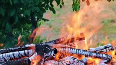 bir orman Campania parlak alev yanıp söner
