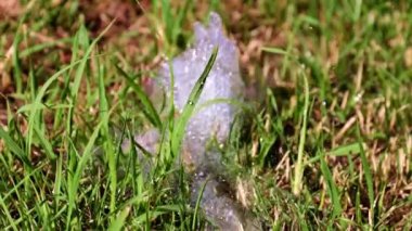 su akışı ve yeşil çim çim