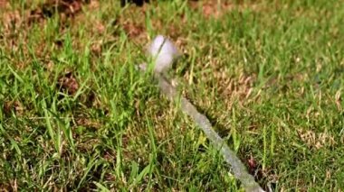 su akışı ve yeşil çim çim