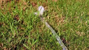 su akışı ve yeşil çim çim