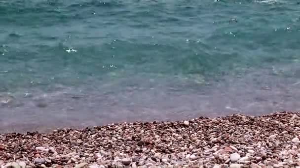 大海中美丽的鹅卵石海滩 — 图库视频影像