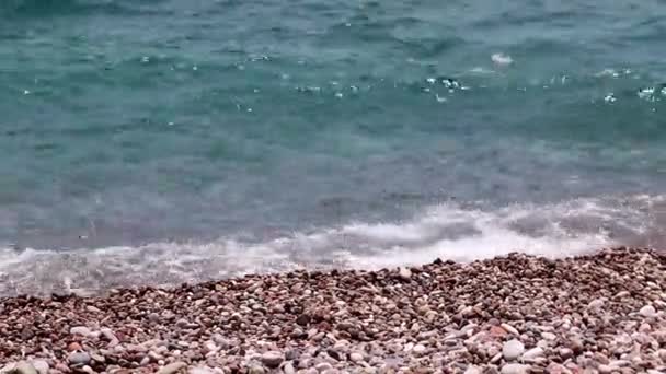 Hermosa Playa Guijarros Medio Del Mar — Vídeos de Stock