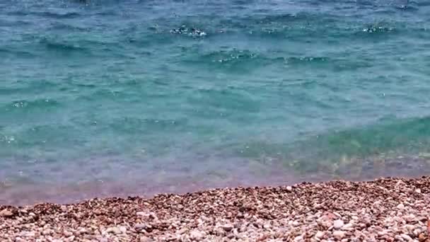 Красивый Галечный Пляж Посреди Моря — стоковое видео