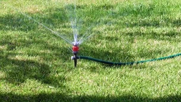 Wasser Auf Die Oberfläche Des Rasens Sprühen — Stockvideo