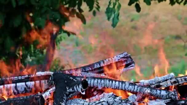 Destellos Llama Brillante Bosque Campania — Vídeo de stock