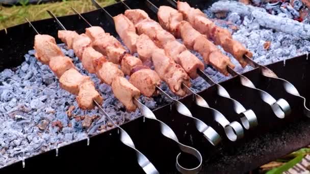 Gros Morceaux Viande Juteuse Sur Brochettes — Video