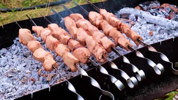 Gros Morceaux Viande Juteuse Sur Brochettes — Video