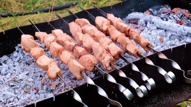 Gros Morceaux Viande Juteuse Sur Brochettes — Video