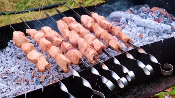 Gros Morceaux Viande Juteuse Sur Brochettes — Video