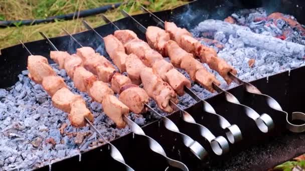 Gros Morceaux Viande Juteuse Sur Brochettes — Video