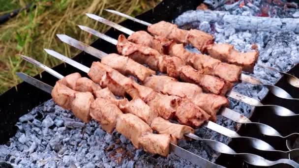 Gros Morceaux Viande Juteuse Sur Brochettes — Video